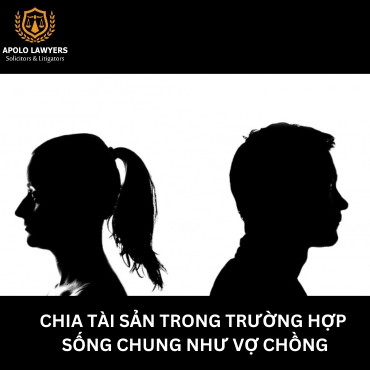 Chia tài sản trong trường hợp sống chung như vợ chồng