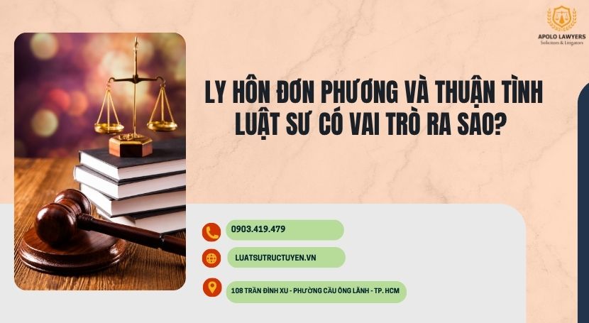 dịch vụ luật sư apolo lawyers