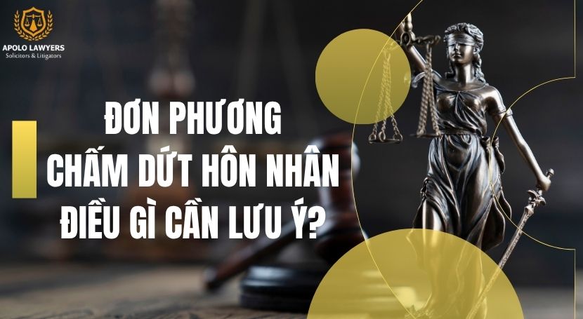 dịch vụ luật sư apolo lawyers