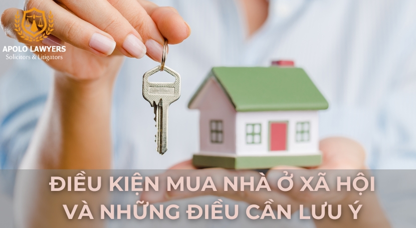 Dịch vụ Luật sư Apolo Lawyers