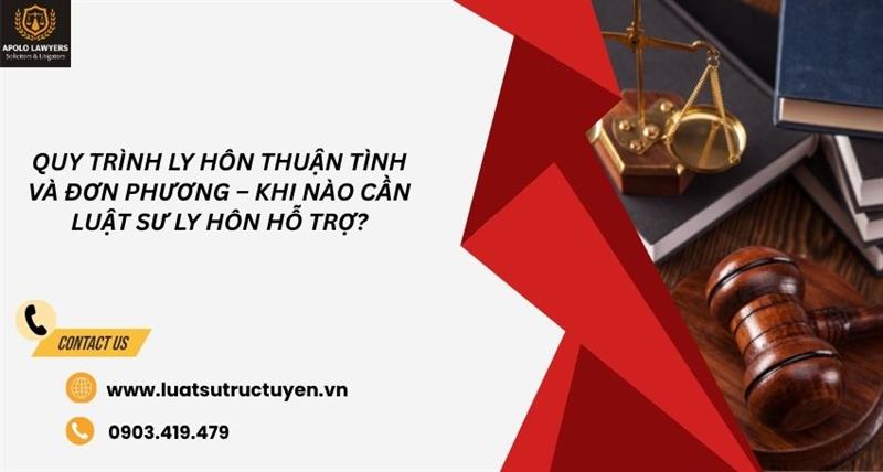 dịch vụ luật sư apolo lawyers