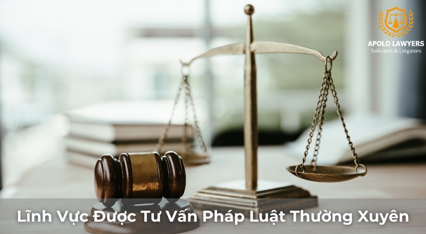 Dịch vụ Luật sư Apolo Lawyers