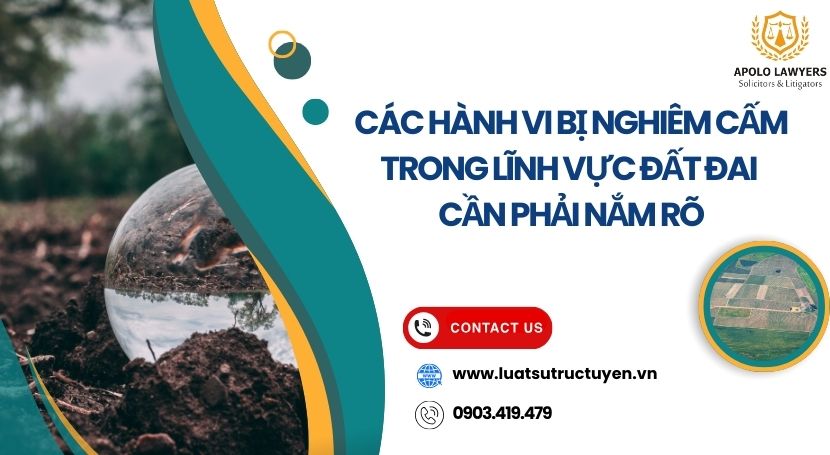 Dịch vụ Luật sư Apolo Lawyers