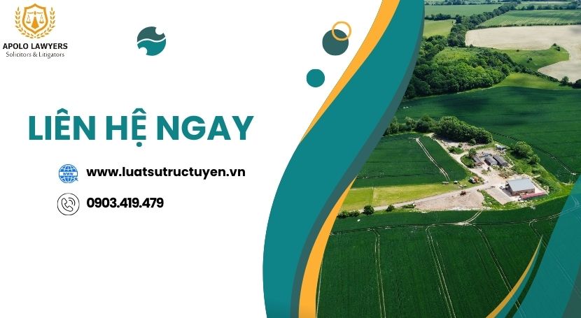Dịch vụ Luật sư Apolo Lawyers