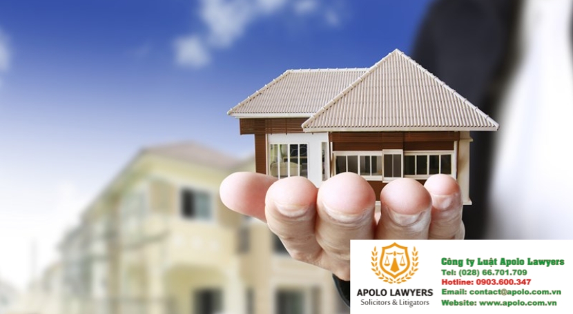 Dịch vụ luật sư Apolo Lawyers