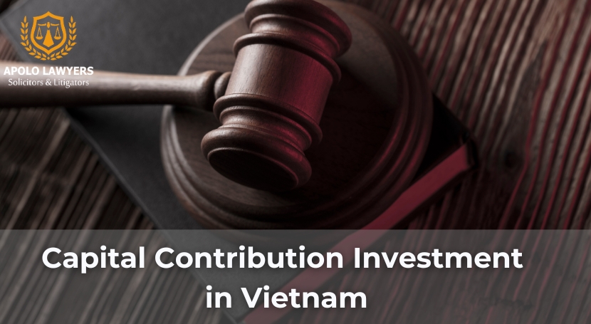 Dịch vụ luật sư Apolo Lawyers