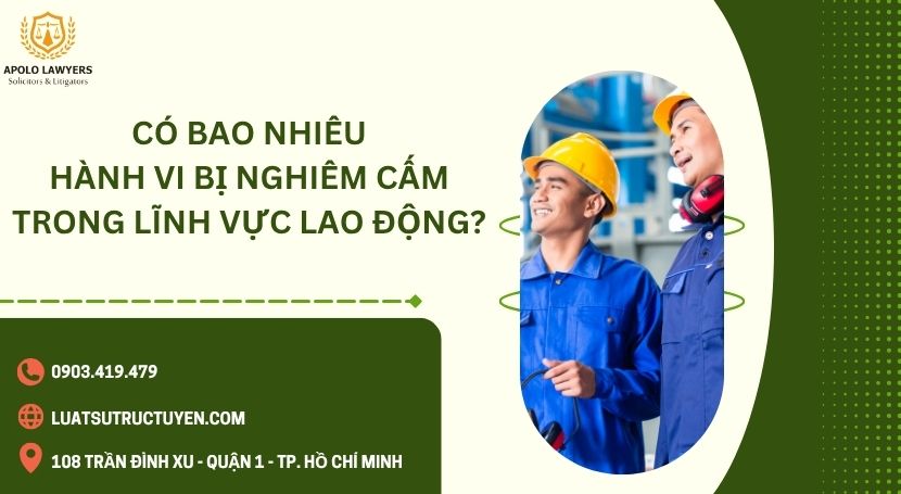 Dịch vụ luật sư Apolo Lawyers