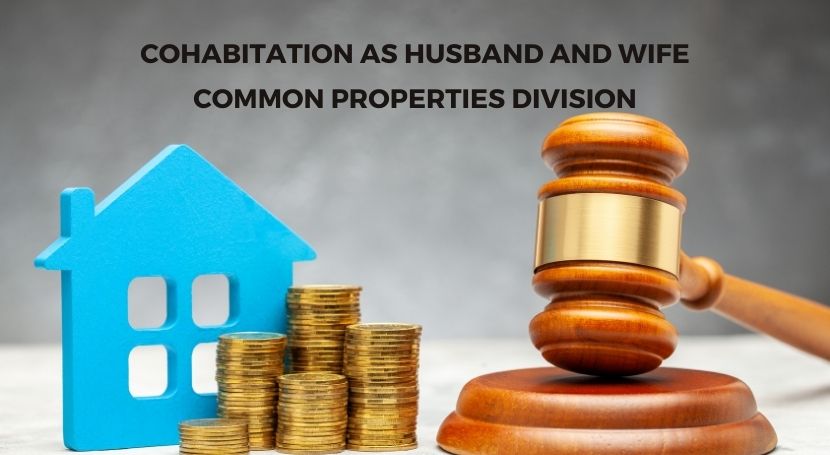 Dich-vu-luat-su-Apolo-Lawyers