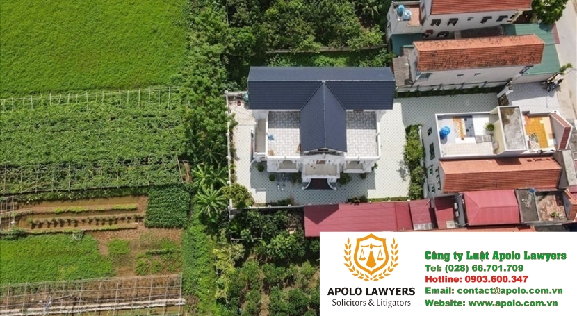 Dịch vụ luật sư Apolo Lawyers