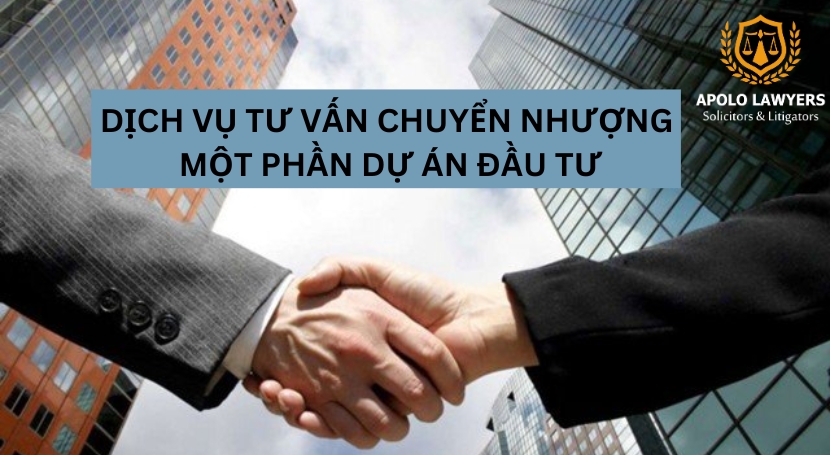 Dịch vụ luật sư Apolo Lawyers