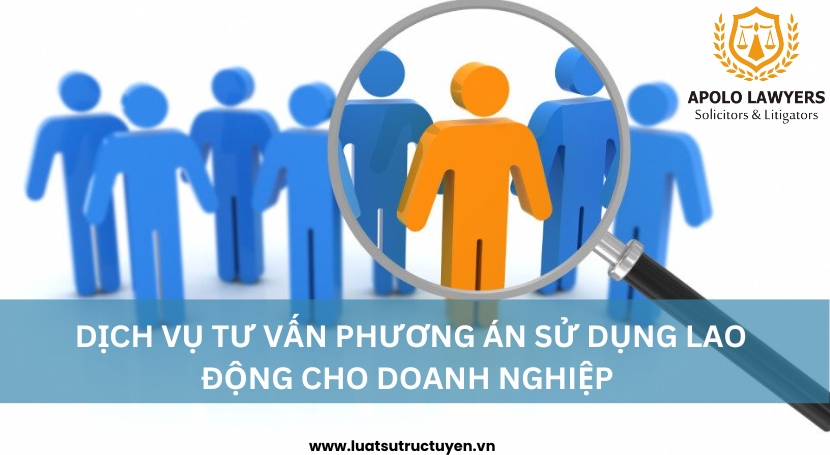 Dịch vụ luật sư Apolo Lawyers