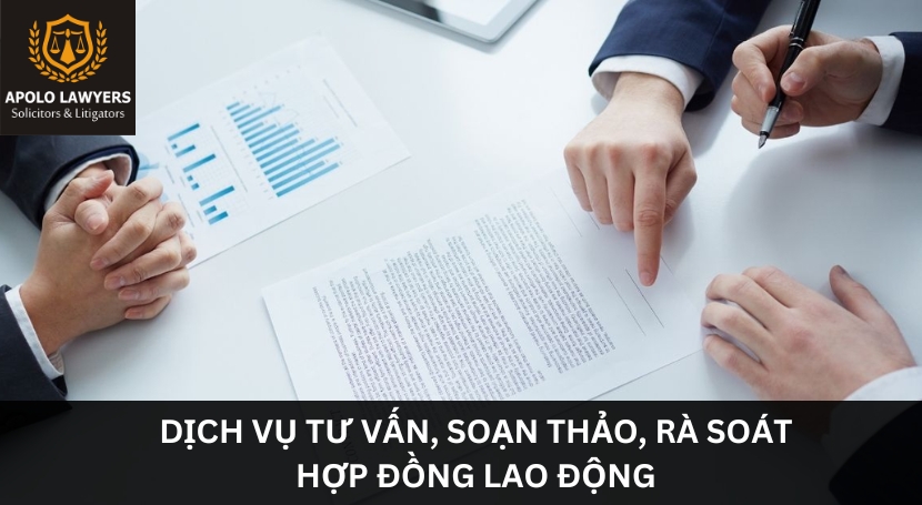 Dịch vụ luật sư Apolo Lawyers