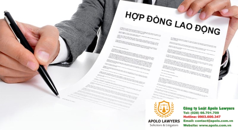 Dịch vụ luật sư Apolo Lawyers