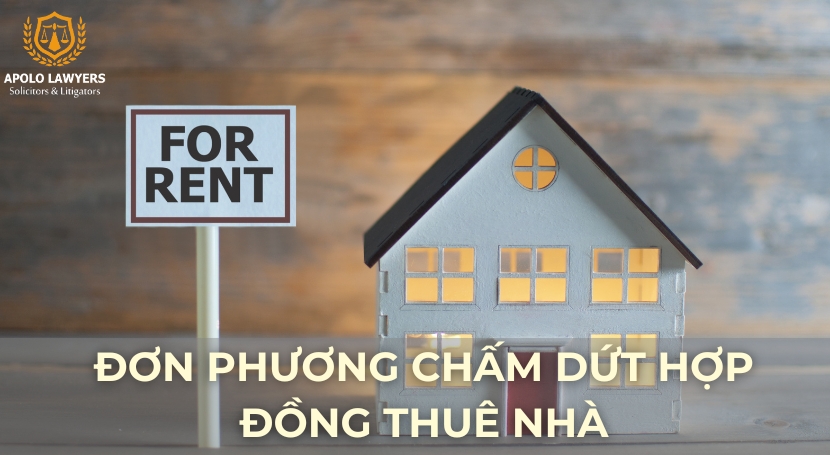 Dịch vụ luật sư Apolo Lawyers