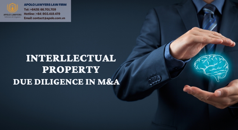 Dịch vụ luật sư Apolo Lawyers