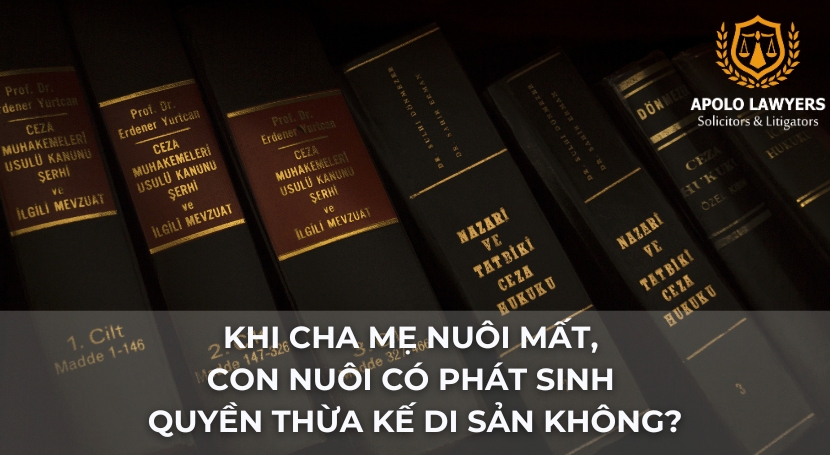 Dịch vụ luật sư Apolo Lawyers