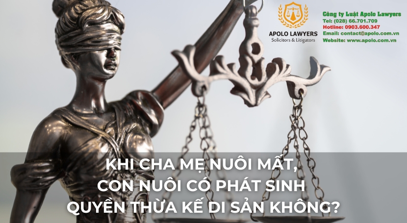 Dịch vụ luật sư Apolo Lawyers