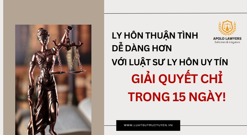 Dịch vụ luật sư Apolo Lawyers
