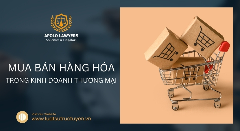 Dịch vụ luật sư Apolo Lawyers