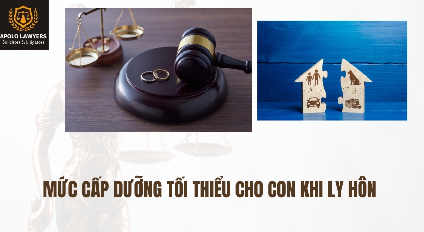 Dịch vụ Luật sư Apolo Lawyers