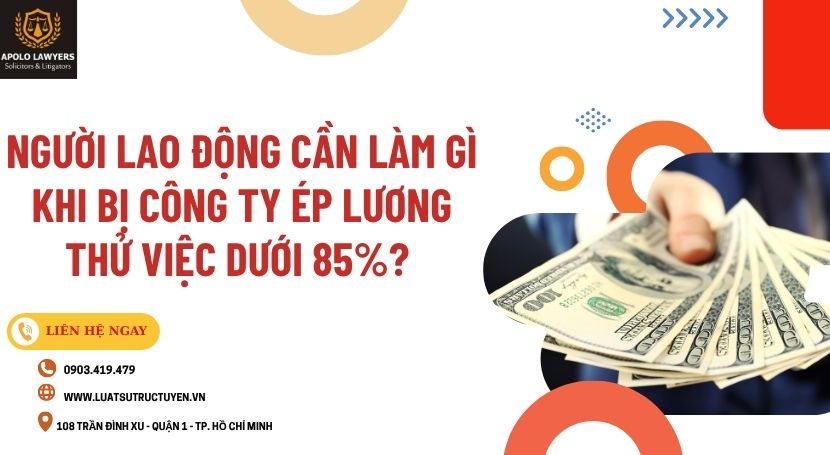 Dịch vụ Luật sư Apolo Lawyers