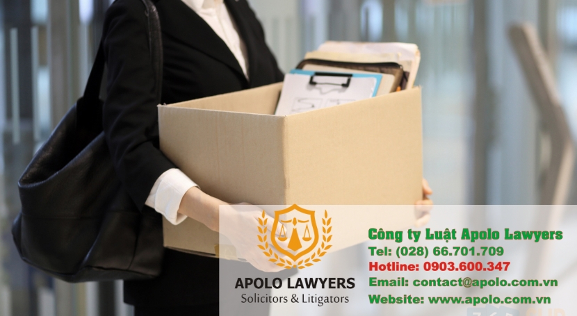 Dịch vụ luật sư Apolo Lawyers