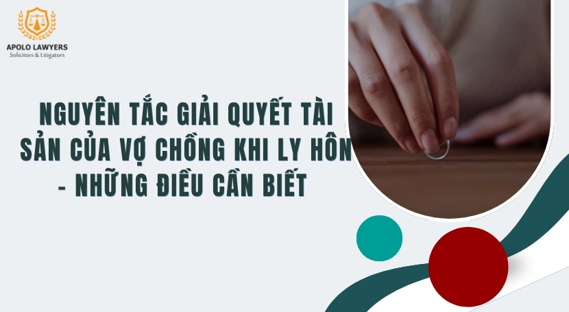 Dịch vụ Luật sư Apolo Lawyers