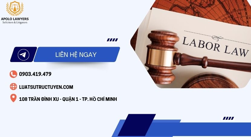 Dịch vụ luật sư Apolo Lawyers