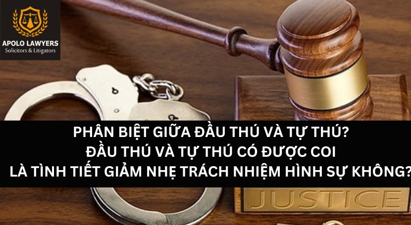 Dịch vụ luật sư Apolo Lawyers