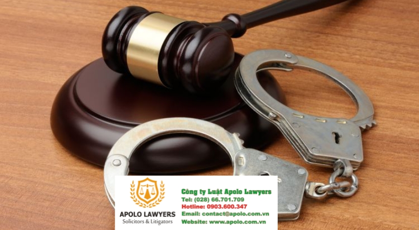 Dịch vụ luật sư Apolo Lawyers