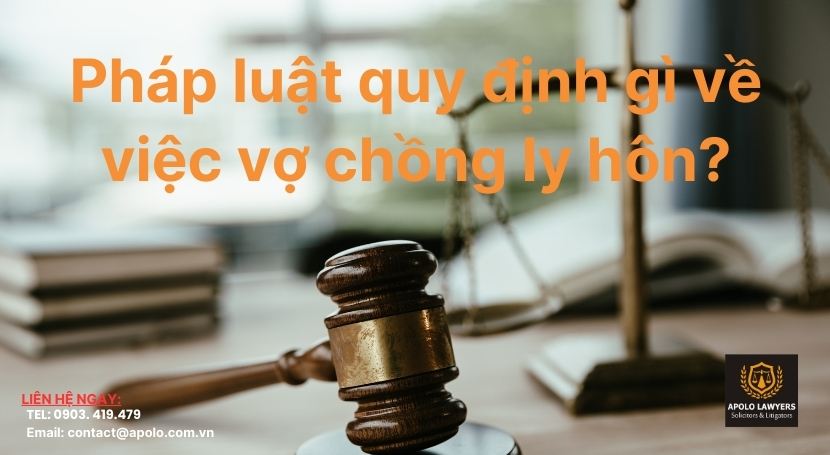 Dịch vụ luật sư Apolo Lawyers