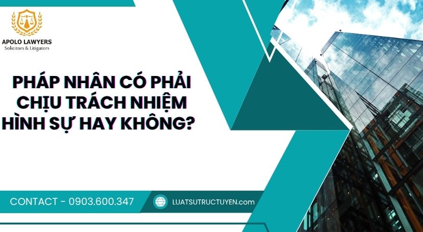 Dịch vụ luật sư Apolo Lawyers