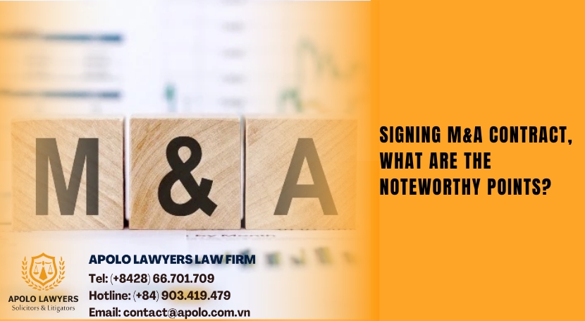 Dịch vụ luật sư Apolo Lawyers