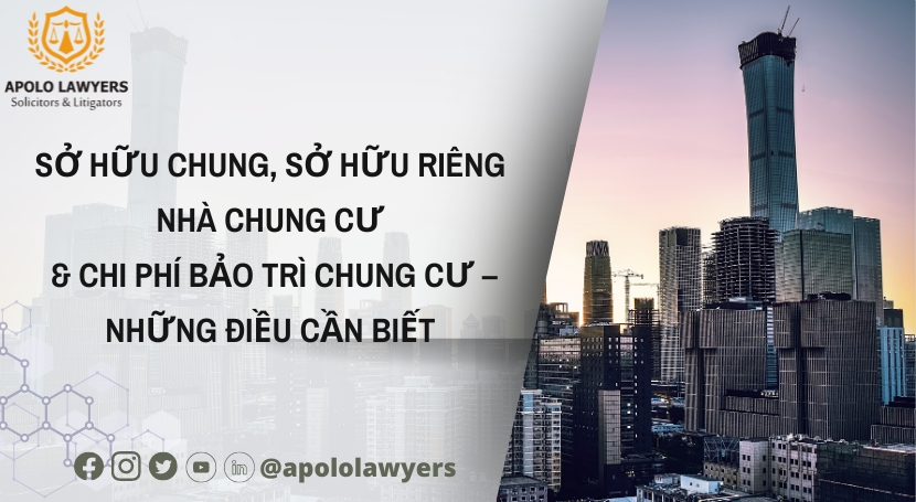 Dịch vụ luật sư Apolo Lawyers