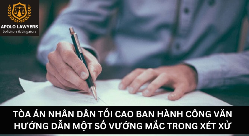 Dịch vụ luật sư Apolo Lawyers