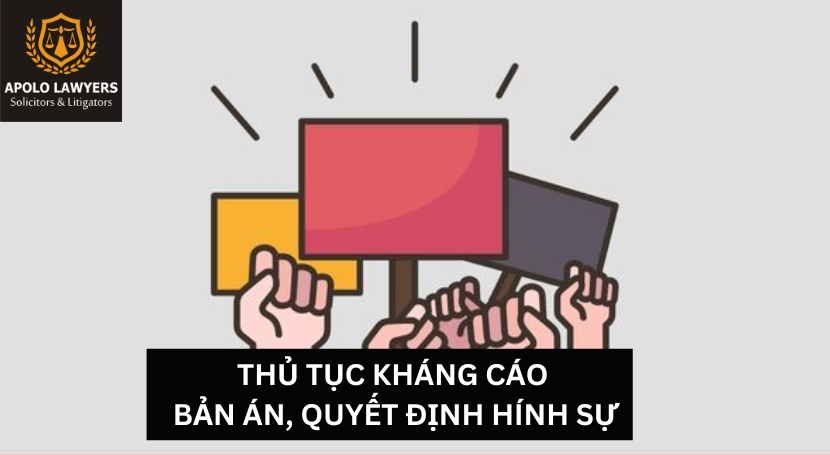 Dịch vụ luật sư Apolo Lawyers