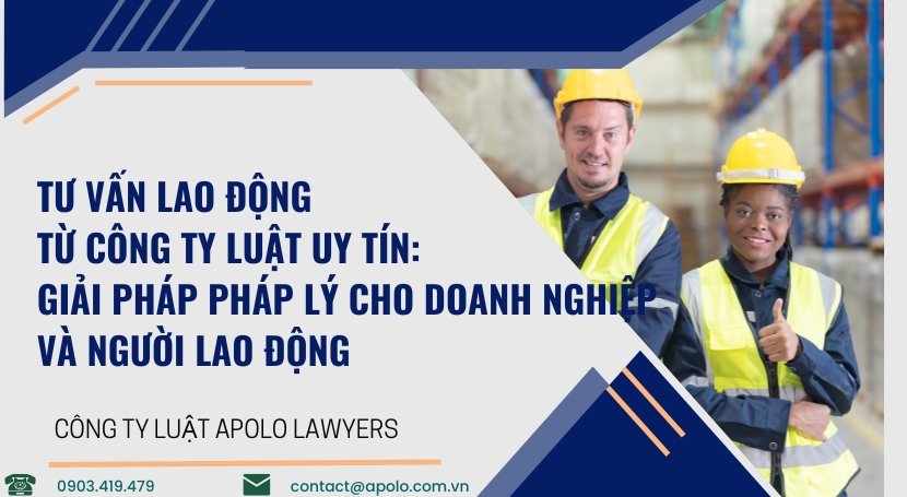 Dịch vụ luật sư Apolo Lawyers