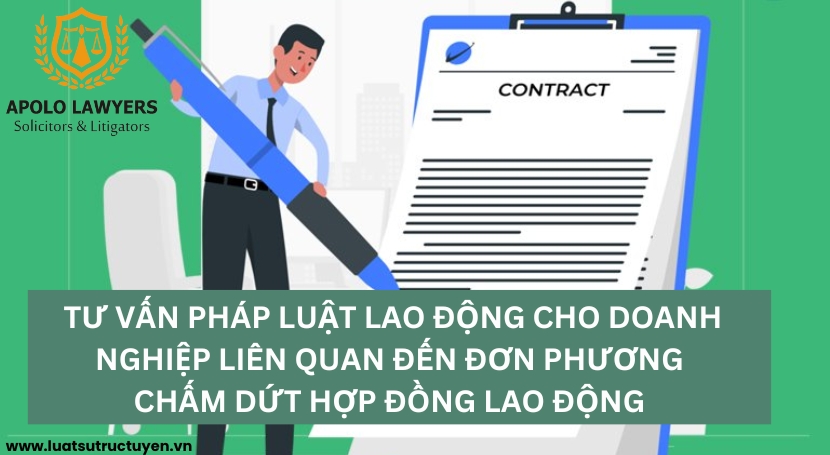 Dịch vụ luật sư Apolo Lawyers