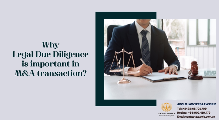 Dịch vụ luật sư Apolo Lawyers