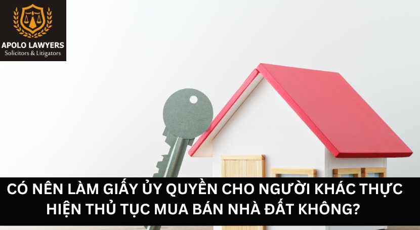 Dịch vụ luật sư Apolo Lawyers