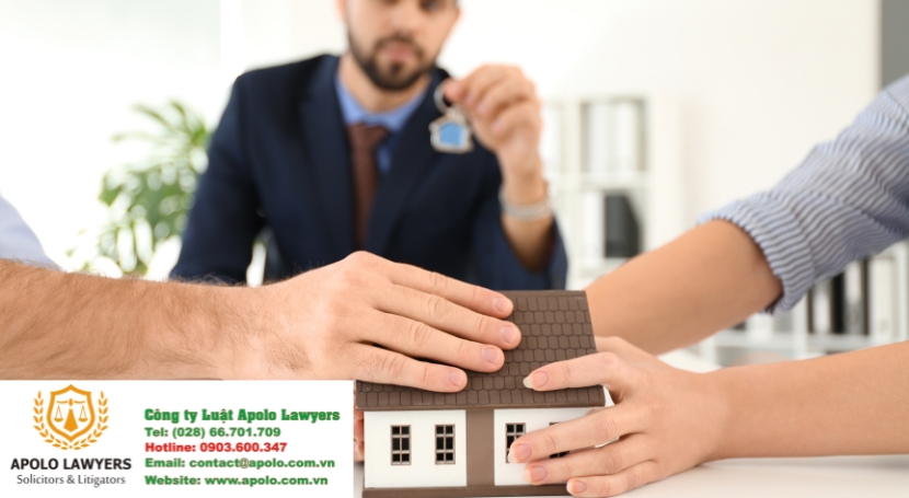 Dịch vụ luật sư Apolo Lawyers