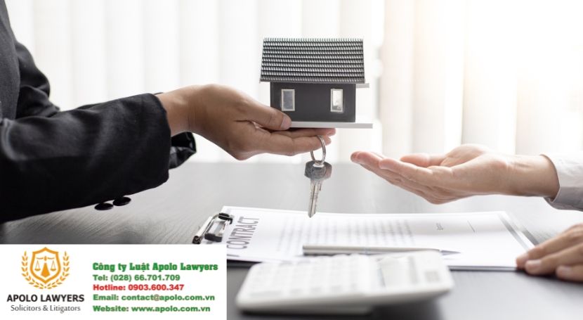 Dịch vụ luật sư Apolo Lawyers