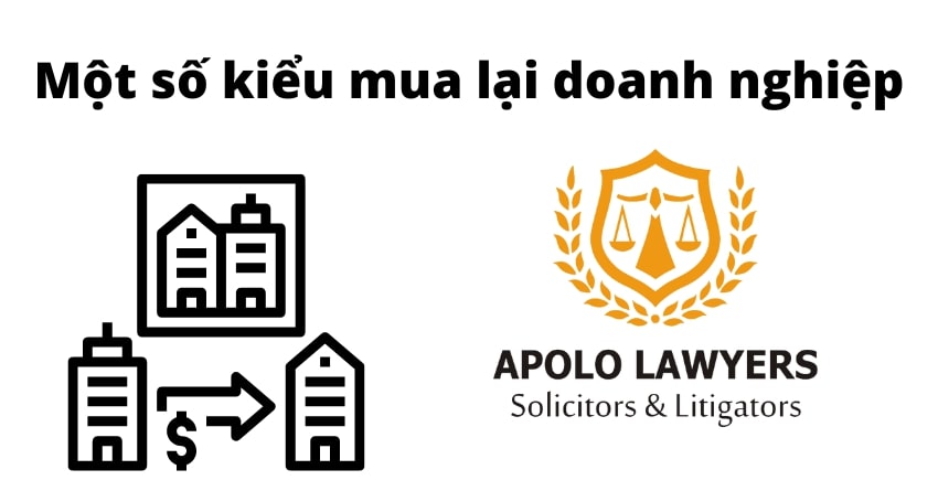 dich-vu-luat-su-apolo-lawyers