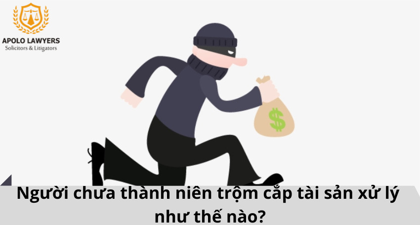 dich-vu-luat-su-apolo-lawyers