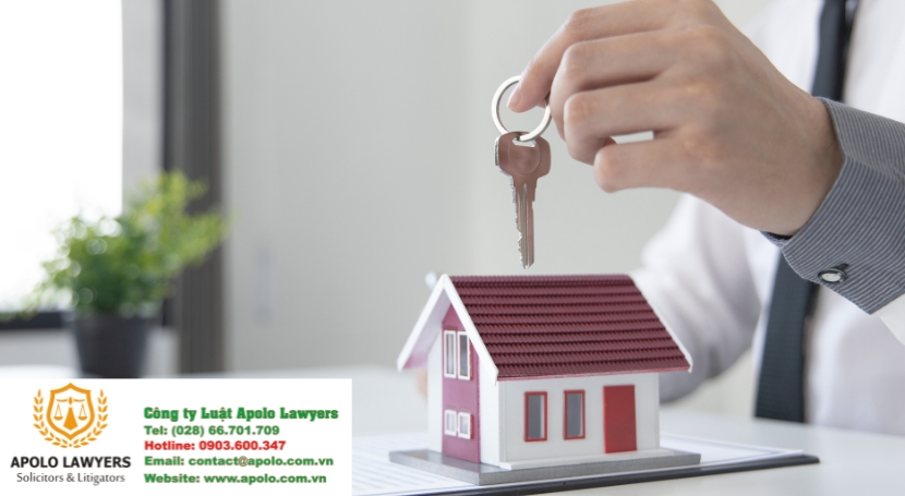 Dịch vụ luật sư Apolo Lawyers