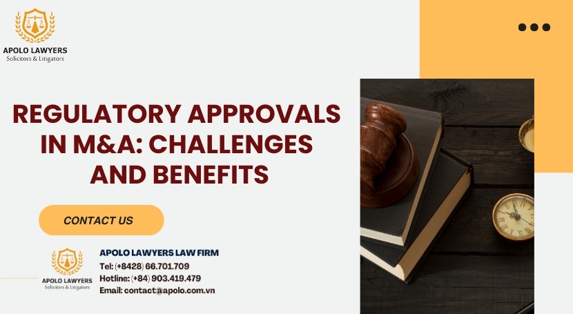 Dịch vụ luật sư Apolo Lawyers