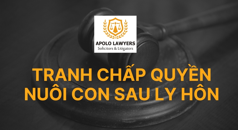 Tranh chấp quyền nuôi con 