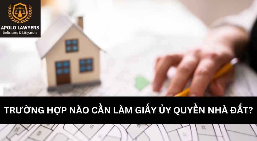 Dịch vụ luật sư Apolo Lawyers