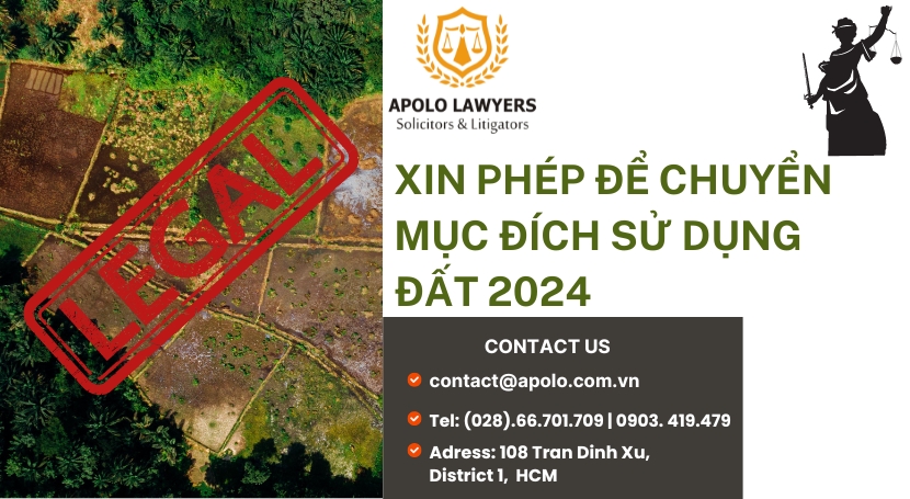 Dịch vụ luật sư Apolo Lawyers